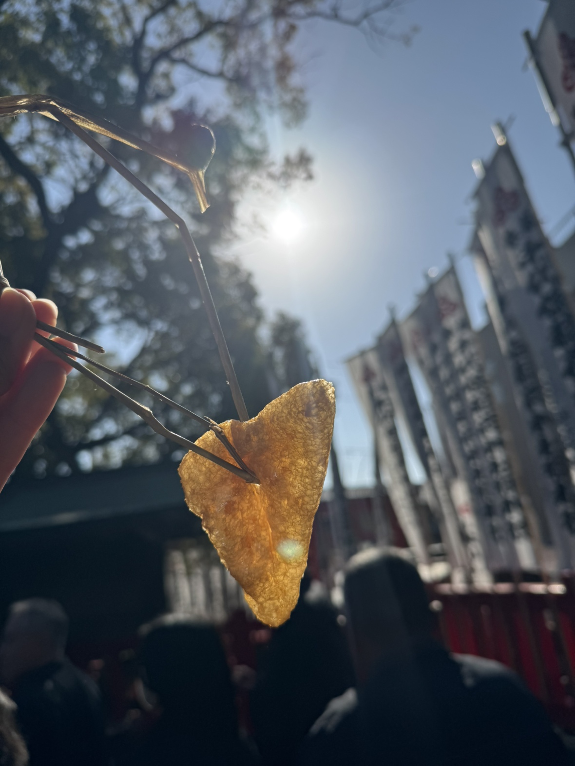 すずか犬猫病院完了検査・騒音測定