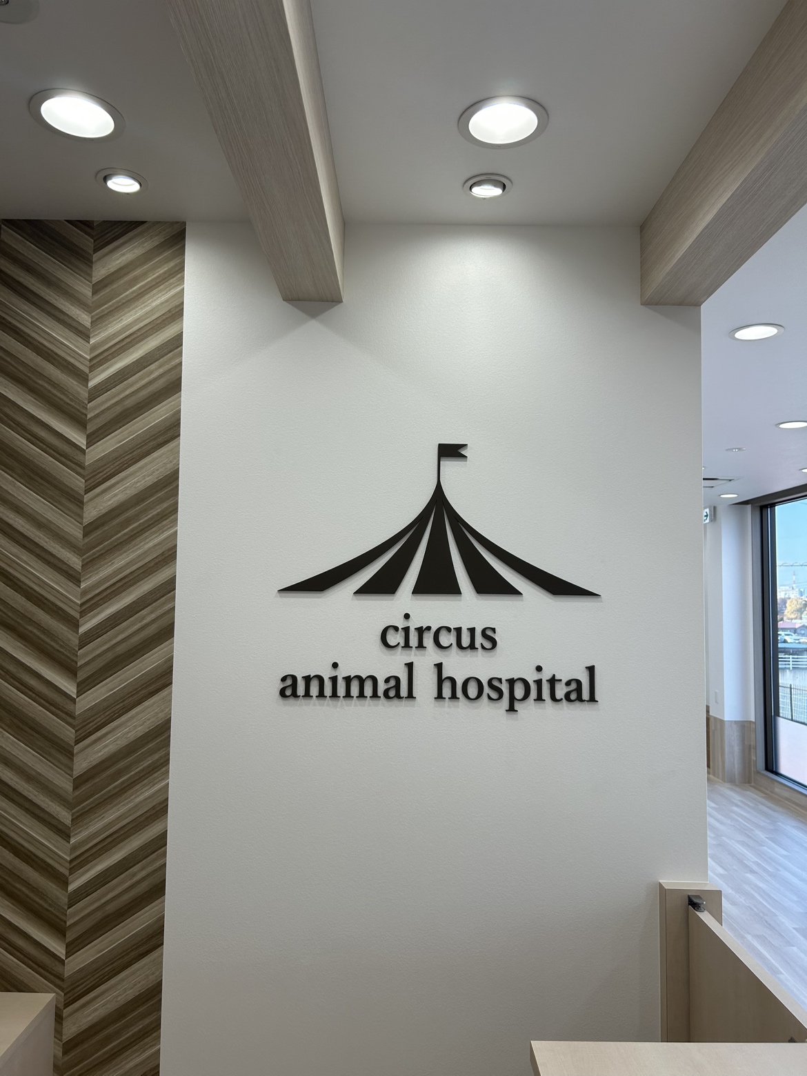 すずか犬猫病院完了検査・騒音測定